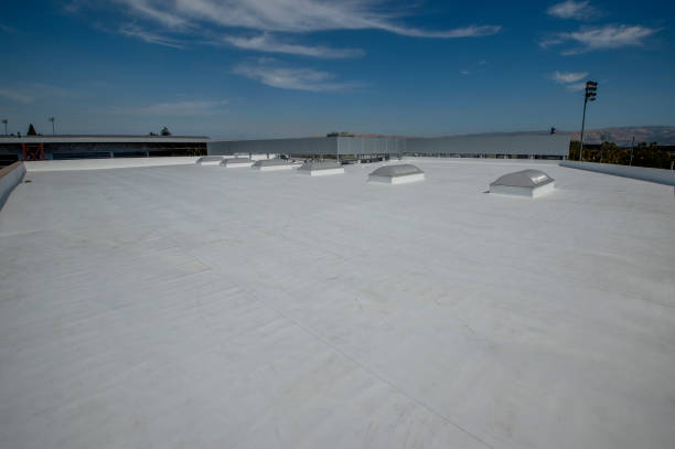 Best Skylight Installation and Repair  in Warrensville Heights, OH
